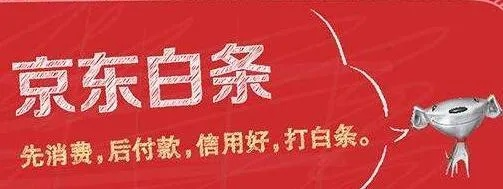 白条苏宁套出来—深度解析与实用指南