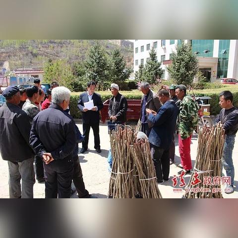 想靠什么发家致富？这些思路或许能帮到你！