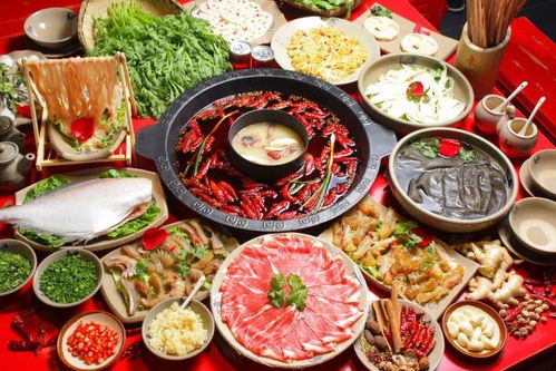 怎么加盟自热火锅代理？从零开始，轻松入门！