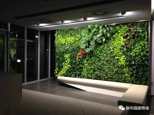 娄底装修植物墙品牌排名