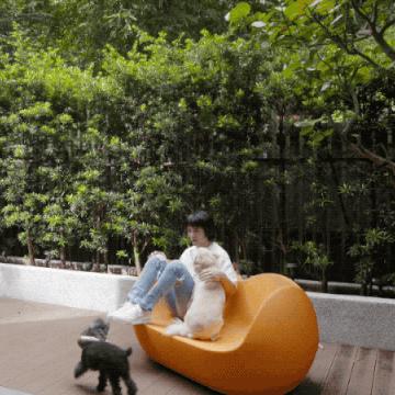 在篮球场做什么赚钱，实战攻略与案例分析