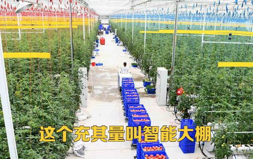 攀枝花智慧管廊哪里买？全面解析帮你搞清楚