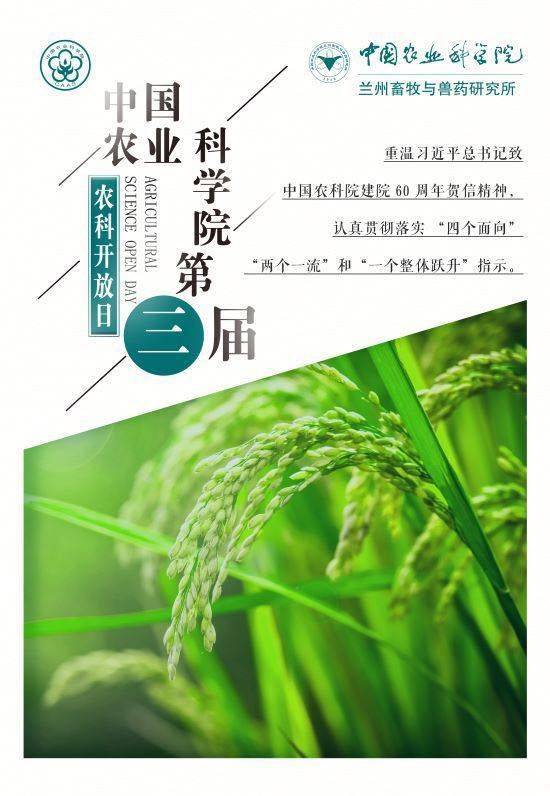 什么草能致富效果好？一文带你了解草类产业的潜力与机遇