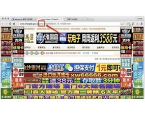 网络黑客24小时在线接单，安全风险与应对策略
