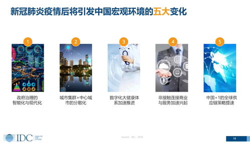 疫情爆发城市中的商机与赚钱策略，实战案例分析