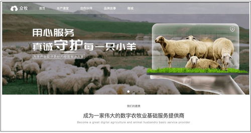 羊小咩便荔卡提现指南