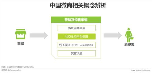 束氏化妆品品牌的发展历程与市场表现