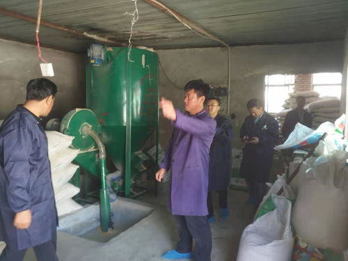 养殖什么致富又好？全面解析养殖业的潜力与前景