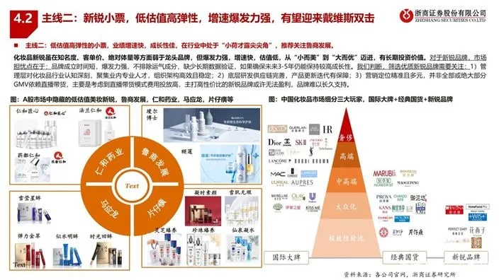大品牌化妆品公司的市场策略与消费者洞察