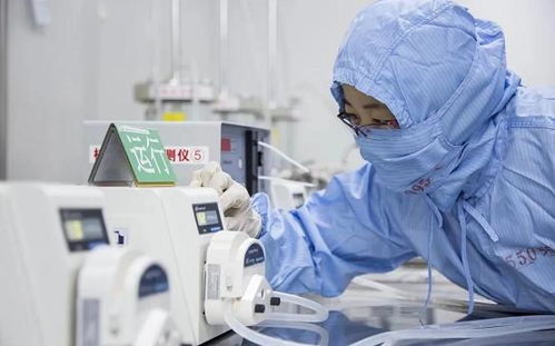 揭秘背部矫正神器，医药品牌背后的科学与创新