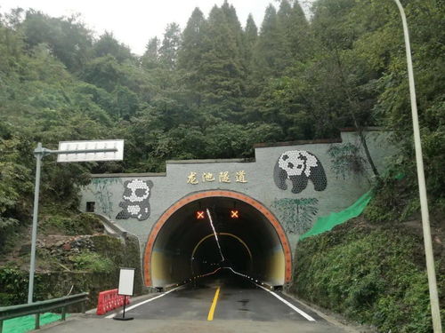 武隆智慧管廊加工区位置揭秘，探寻科技与基建的完美结合点