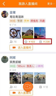 耀扬直播赚钱攻略，揭秘高人气直播背后的成功秘诀