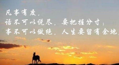 养老婆，致富路上不可或缺的力量源泉