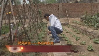 靠勤劳的双手实现致富梦想