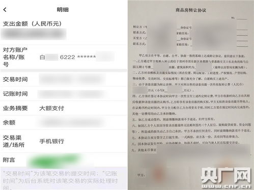 羊小咩便荔卡提现1001元，揭秘背后的操作与风险