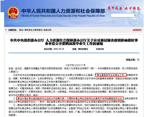 微信分付找谁套出来比较好？全面解析你的需求与选择