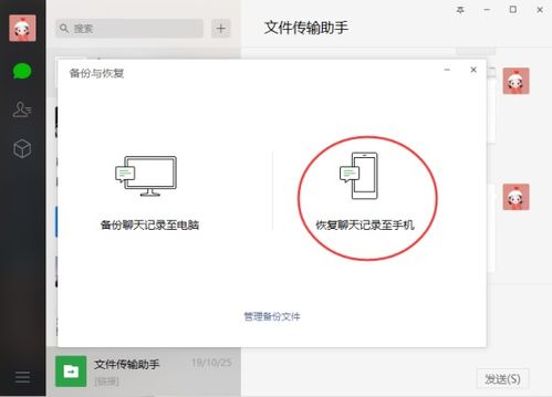 如何找回删除的聊天记录，全方位攻略，让你的重要信息失而复得