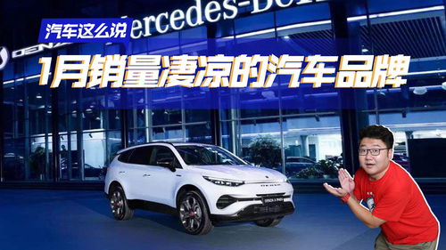 国内销售的汽车品牌大盘点