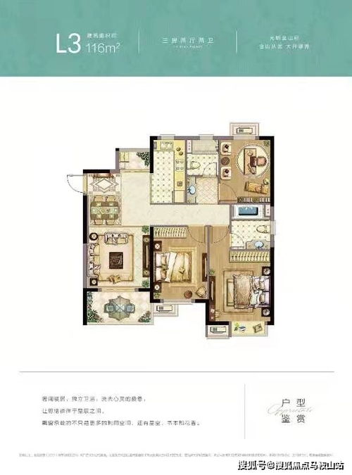 品牌与运动，探索自然，享受生活