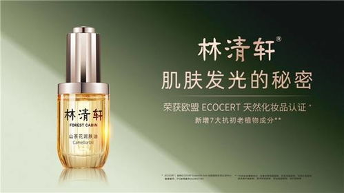 全球精选，奢华体验—国际品牌化妆品礼盒