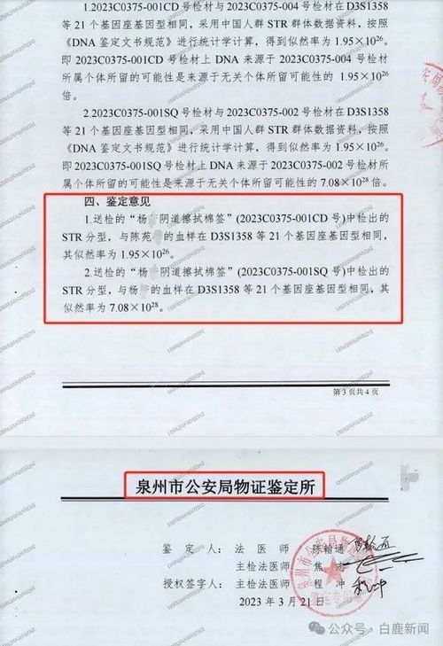 探讨警察偷查酒店记录是否违法，法律边界与案例分析