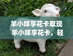 光大羊小咩享花卡信用卡取现攻略，轻松便捷，享受生活！