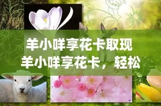 光大羊小咩享花卡信用卡取现攻略，轻松便捷，享受生活！