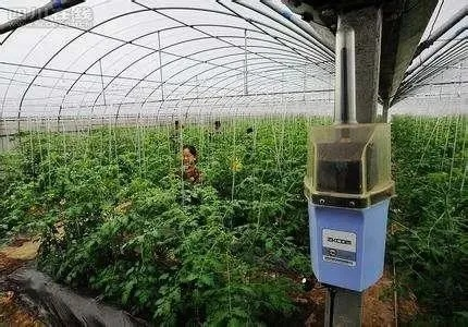 未来做什么农业行业好赚钱？看我一一揭秘！