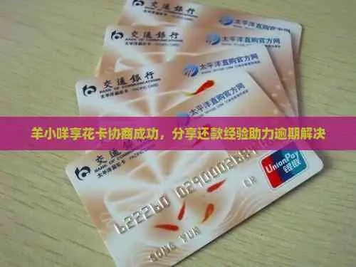 光大羊小咩享花卡卡套现攻略，轻松变现，你也能做到！