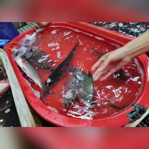 做什么卖家赚钱快又稳？深度解析与案例分享