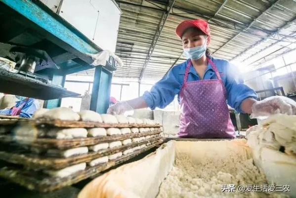 食品加工坊做什么好赚钱？看这篇全明白！