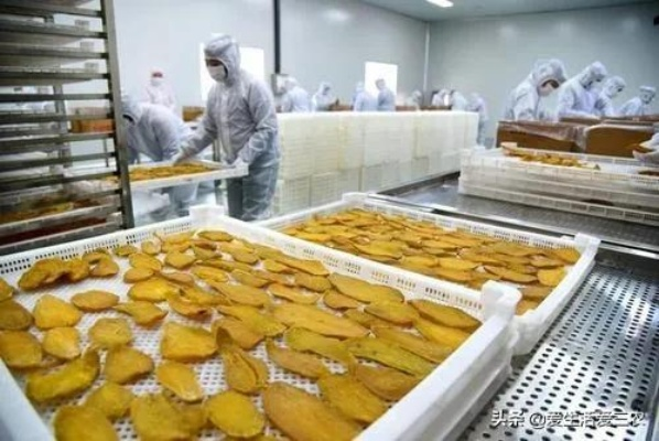 食品加工坊做什么好赚钱？看这篇全明白！