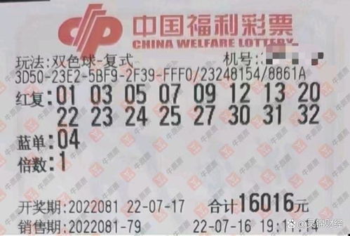 呆萝卜加盟全攻略，一步步带你走上成功之路