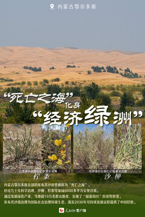 金山靠什么发家致富，从草根到科技巨头的崛起之路
