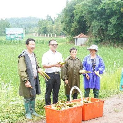 巴中市什么生意赚钱？详解商机与成功案例