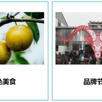 奉贤特色民宿装修品牌—打造别具一格的住宿体验