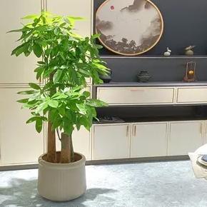 室内养殖什么最赚钱？看我一一揭秘