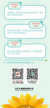 温哥华母婴品牌，从摇篮到成长的全方位关怀