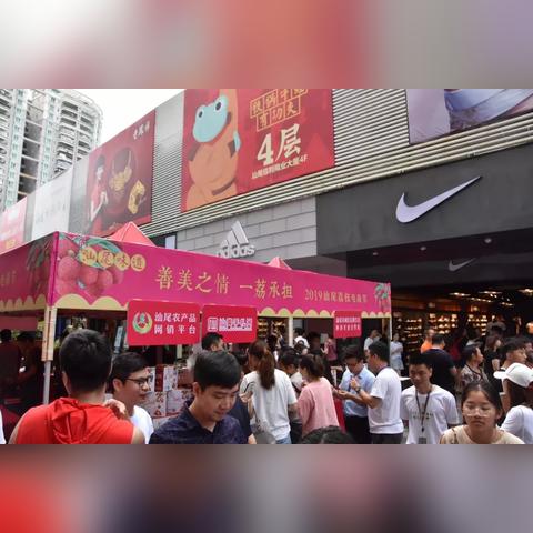 羊小咩便荔卡提的奇幻之旅，揭秘这位网红的神秘去向