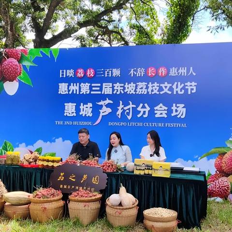 羊小咩便荔卡提的奇幻之旅，揭秘这位网红的神秘去向