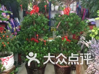 七彩花店加盟指南，从零起步走向成功之路