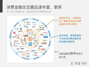 支付分分期乐套出来的秘密大揭秘，实用指南与案例分析