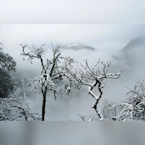 户外冰雪品牌，探索冬季运动的魅力