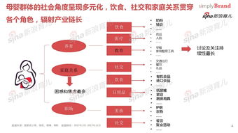 2017年母婴品牌市场概览
