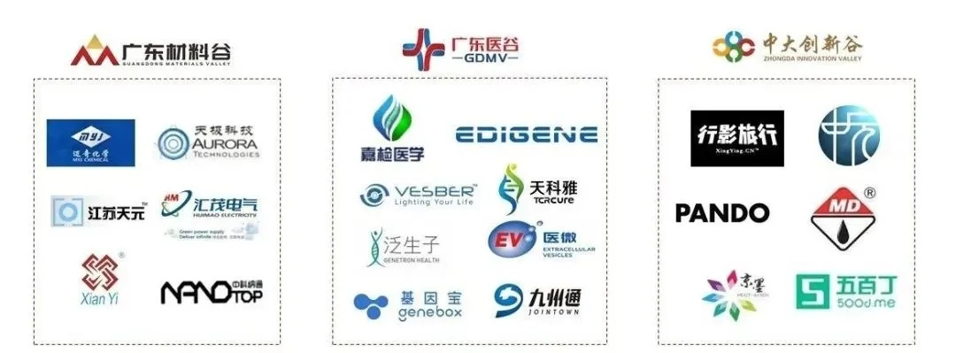 三金医药品牌，创新与传承，铸就健康未来