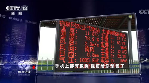 南阳母婴品牌，从摇篮到成长的温馨陪伴