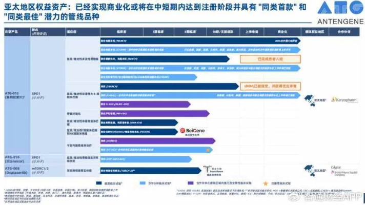 医药品牌策划出路，创新与差异化的双翼