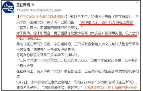 羊小咩便荔卡提现，商家提成那些事儿