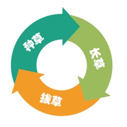 医药品牌推广销售策略全攻略