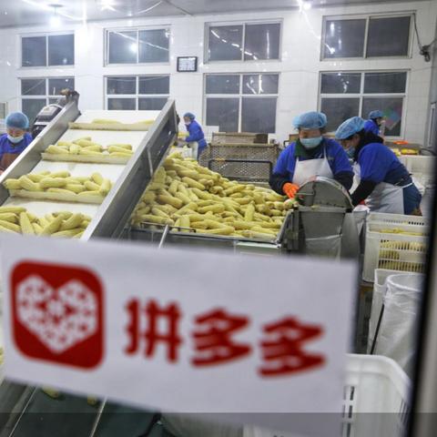 平价国产电脑品牌大揭秘